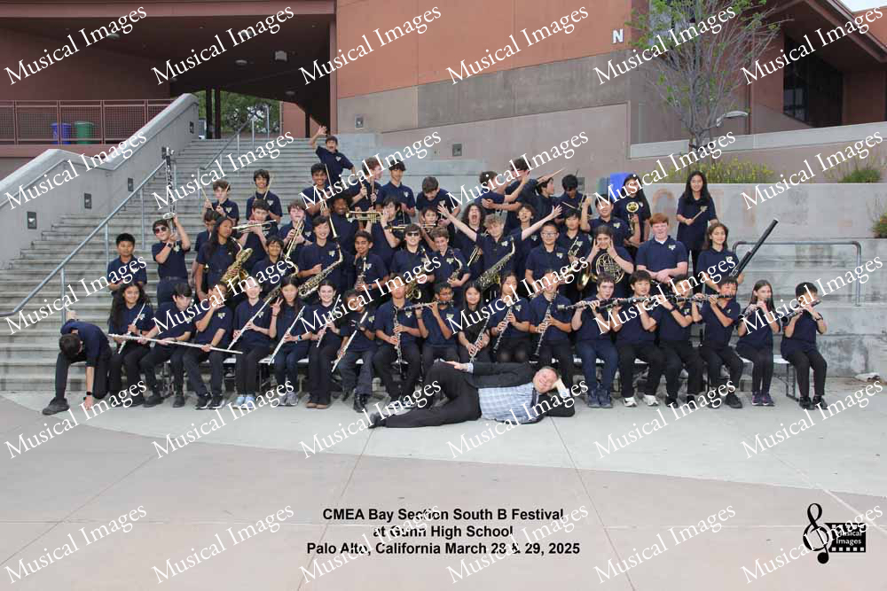 Musical Images